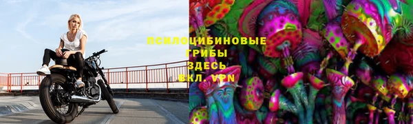 индика Алзамай