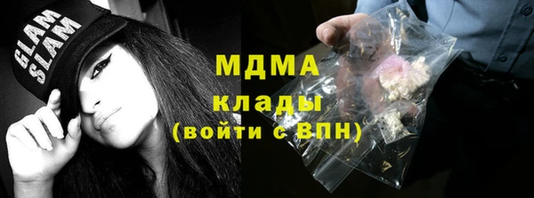 индика Алзамай