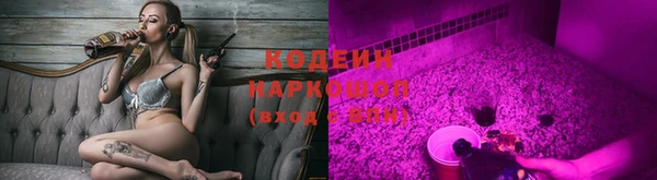 индика Алзамай