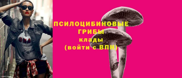 индика Алзамай