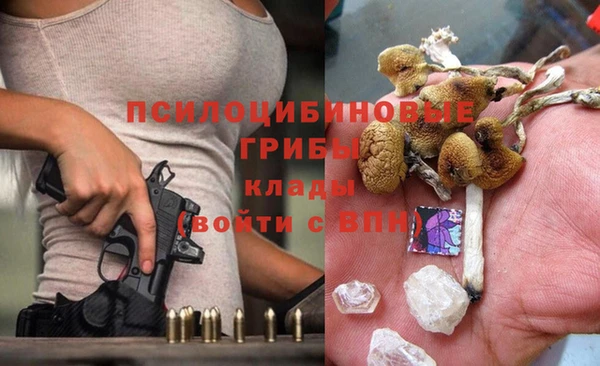 индика Алзамай