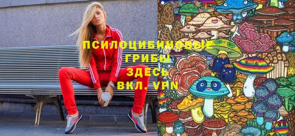 амфетамин Алексин