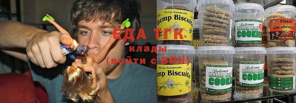 индика Алзамай