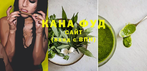 индика Алзамай