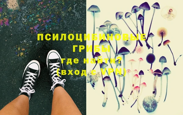 индика Алзамай