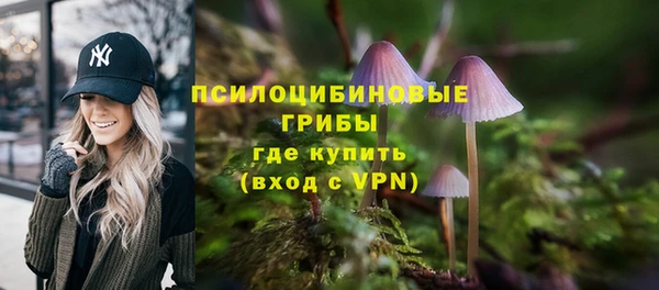 дурь Алексеевка