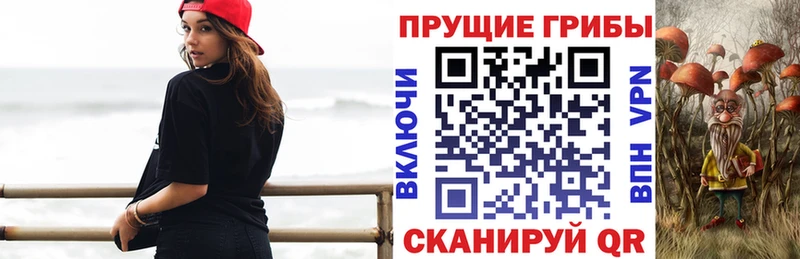 Галлюциногенные грибы ЛСД  ОМГ ОМГ зеркало  Ярцево 