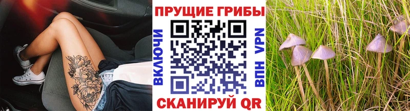 Галлюциногенные грибы Psilocybe Ярцево